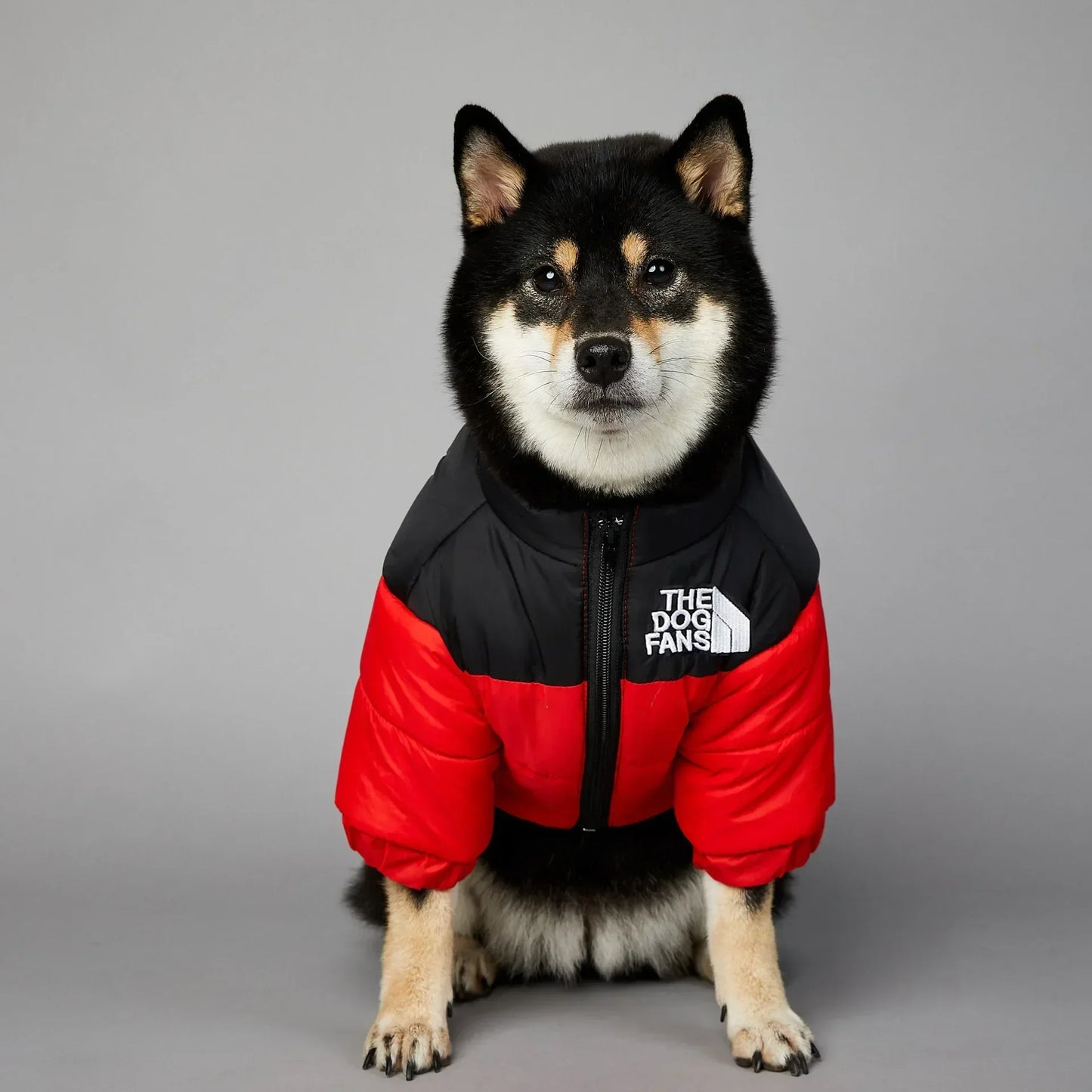 CN Zhejiang Winter Dog Down Jacket Cozy Thick Insulated Coat