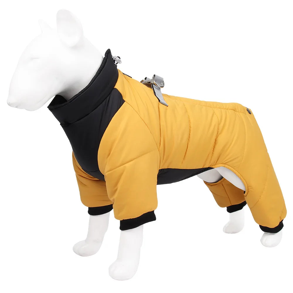 CN Zhejiang Cotton-Padded Dog Winter Coat Windproof