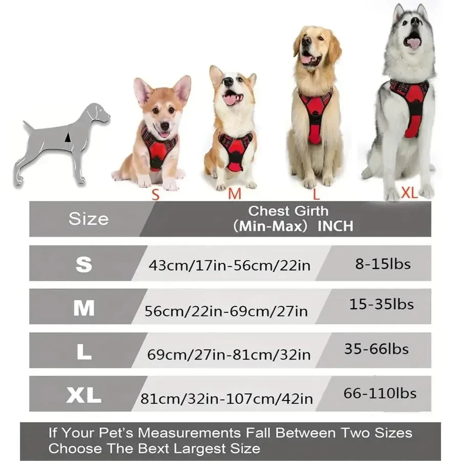 BeiYu Pet Vest Harness For Dogs And Puppy Accessories Set