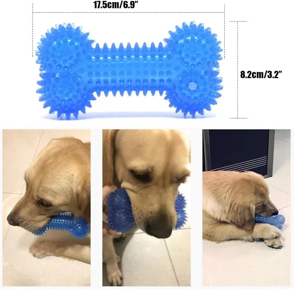 Summer Dog Chew Toys Teething Balls Durable Frozen Puppy Rubber Bone Toys Teeth Cleaning Bones Chewing Training Pet Supplies