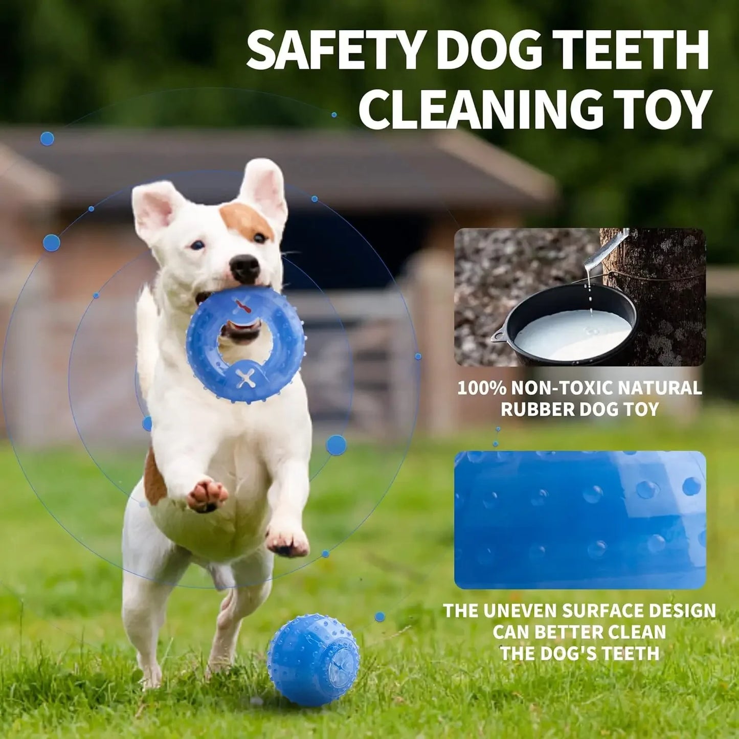 Summer Dog Chew Toys Teething Balls Durable Frozen Puppy Rubber Bone Toys Teeth Cleaning Bones Chewing Training Pet Supplies