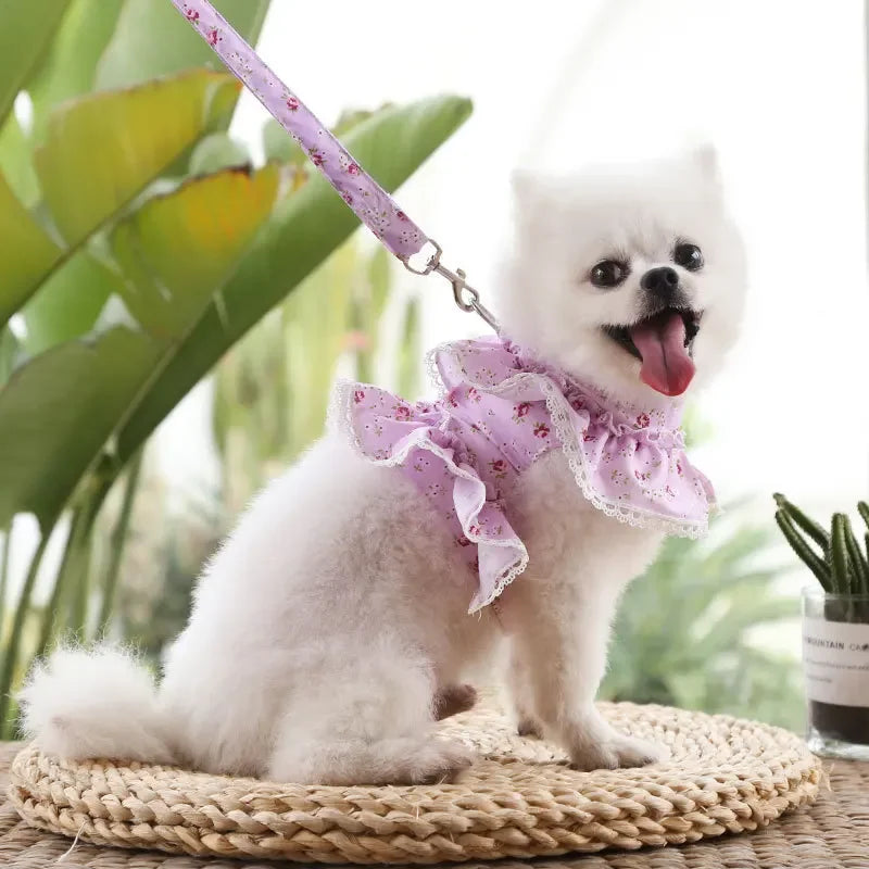 Adjustable Lace Floral Harness Leash Set For Dogs And Cats