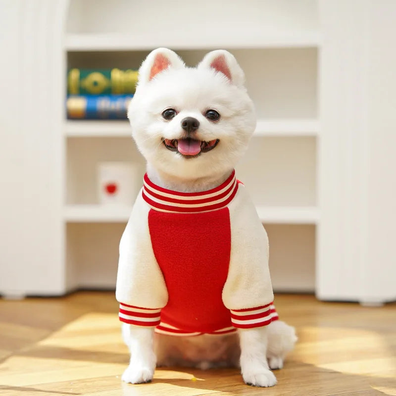 Puppy Coat With D Ring Outdoor Jacket For Dogs