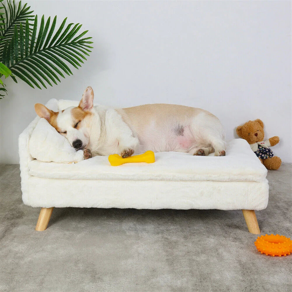 Borwartcn PremiumQuality Elevated Orthopedic Memoryfoam Dog Sofa Bed With Backrest