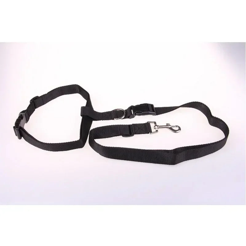 CN Guangdong Chest Hands Adjustable Pet Leash for Walking Dogs Cats