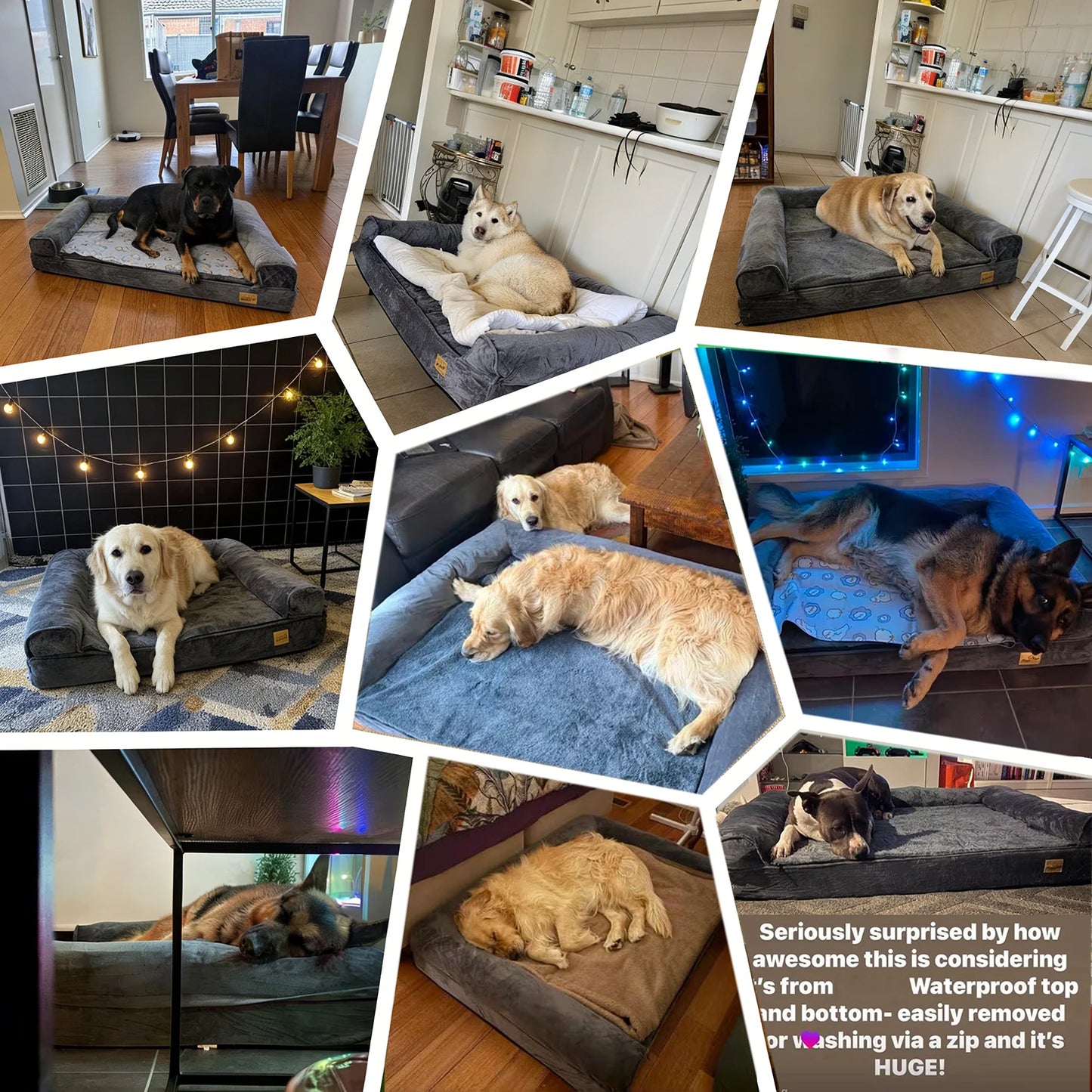 BORWARTCN Calming Orthopedic Memory Foam Dog Bed Removable Cover