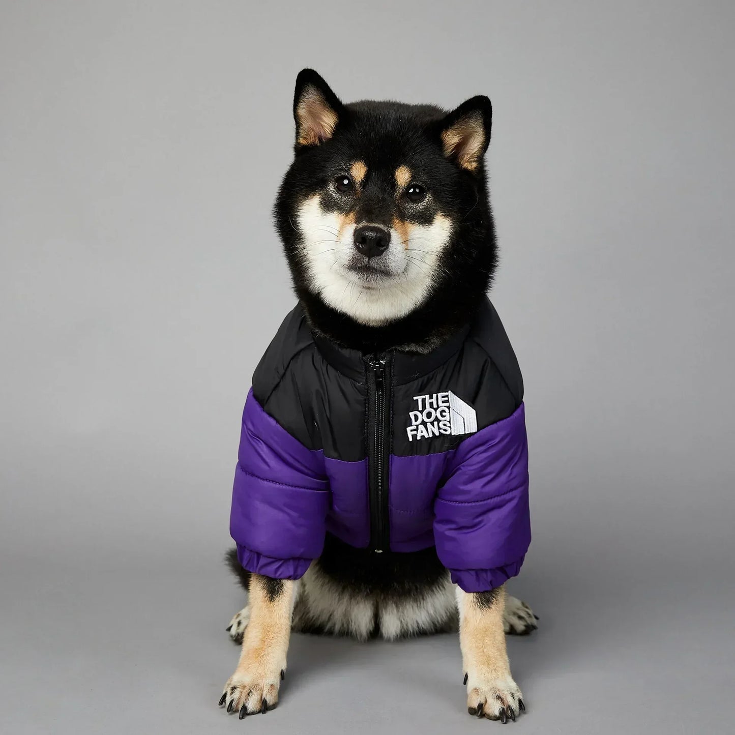 CN Zhejiang Winter Dog Down Jacket Cozy Thick Insulated Coat