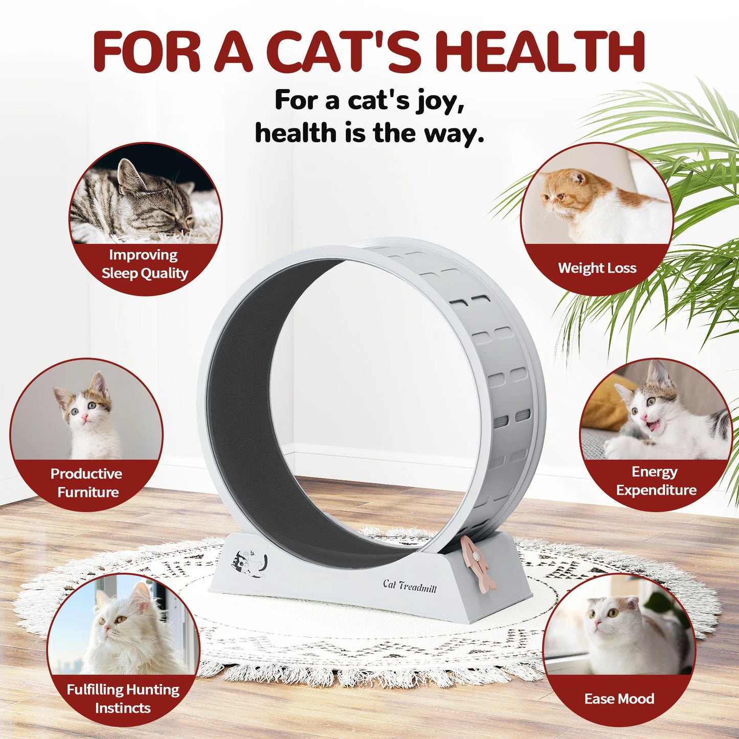 Cat Wheel for Indoor Cats Large Exercise Running Wheel Cat Treadmill with Brake & Carpeted Runway, Easy to Install & Fitness & Health