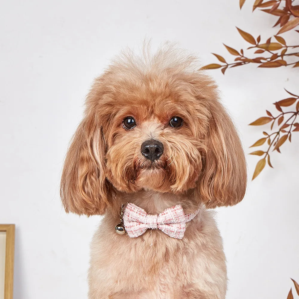 Bow Cat Collar Adjustable Pet Bow Tie Collar with Safety Buckle and Bell Decoration Suitable for Kittens & Puppies Cat Necklace