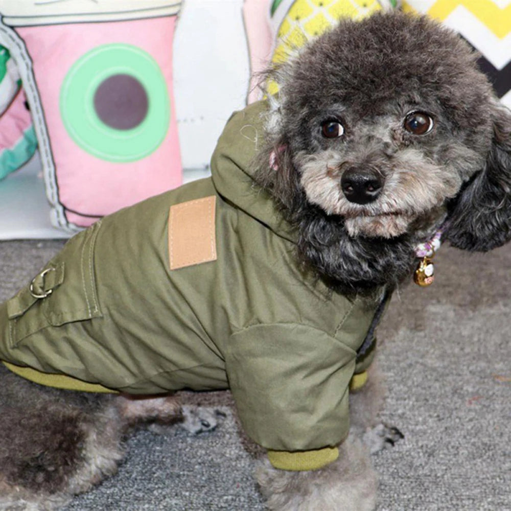 Dog Winter Coat With Hood And Plush Lining