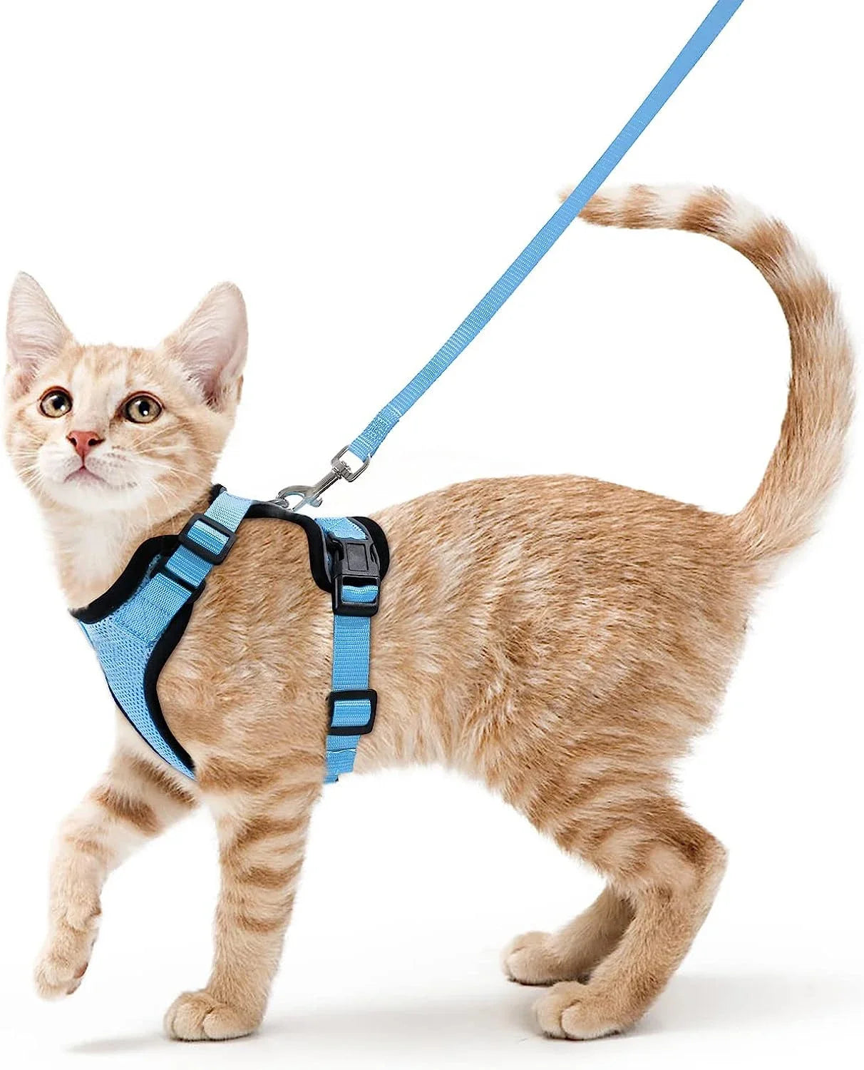 Cat Harness and Leash for Walking Escape Proof Adjustable Vest