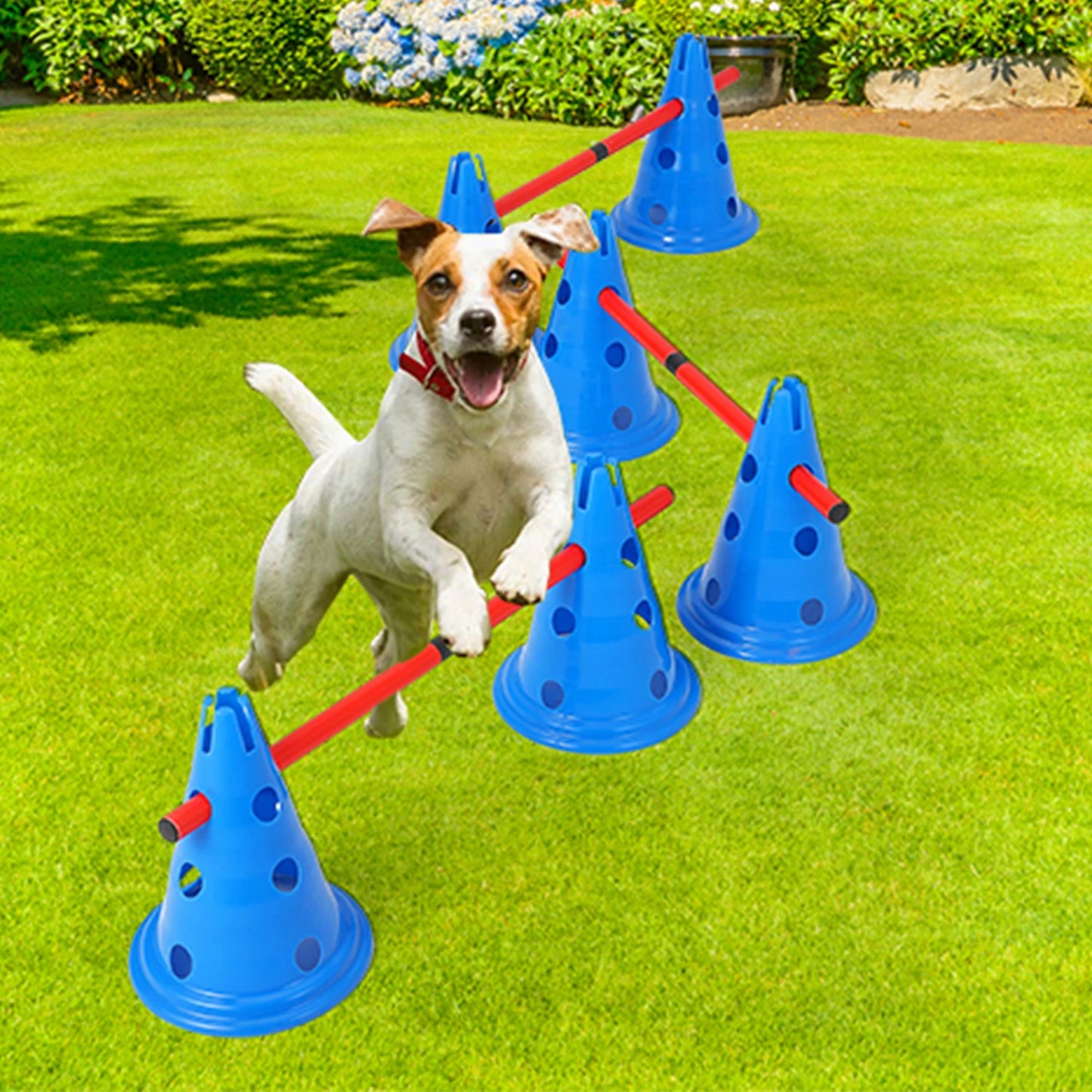 DishyKooker Dog Agility Hurdle Cone Set For Backyard Course With 12 Cones And 6 Rods