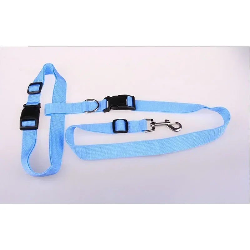 CN Guangdong Chest Hands Adjustable Pet Leash for Walking Dogs Cats