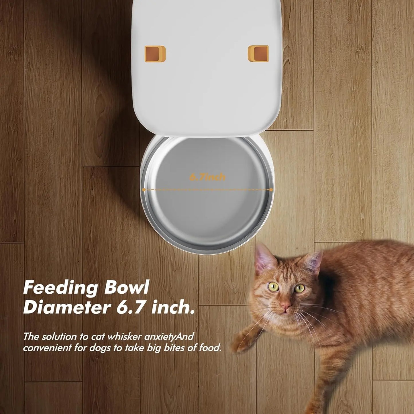 8L Automatic Pet Feeder with LCD Screen, Timed Feeding, 6 Meals Daily, Battery Backup for Dogs and Cats