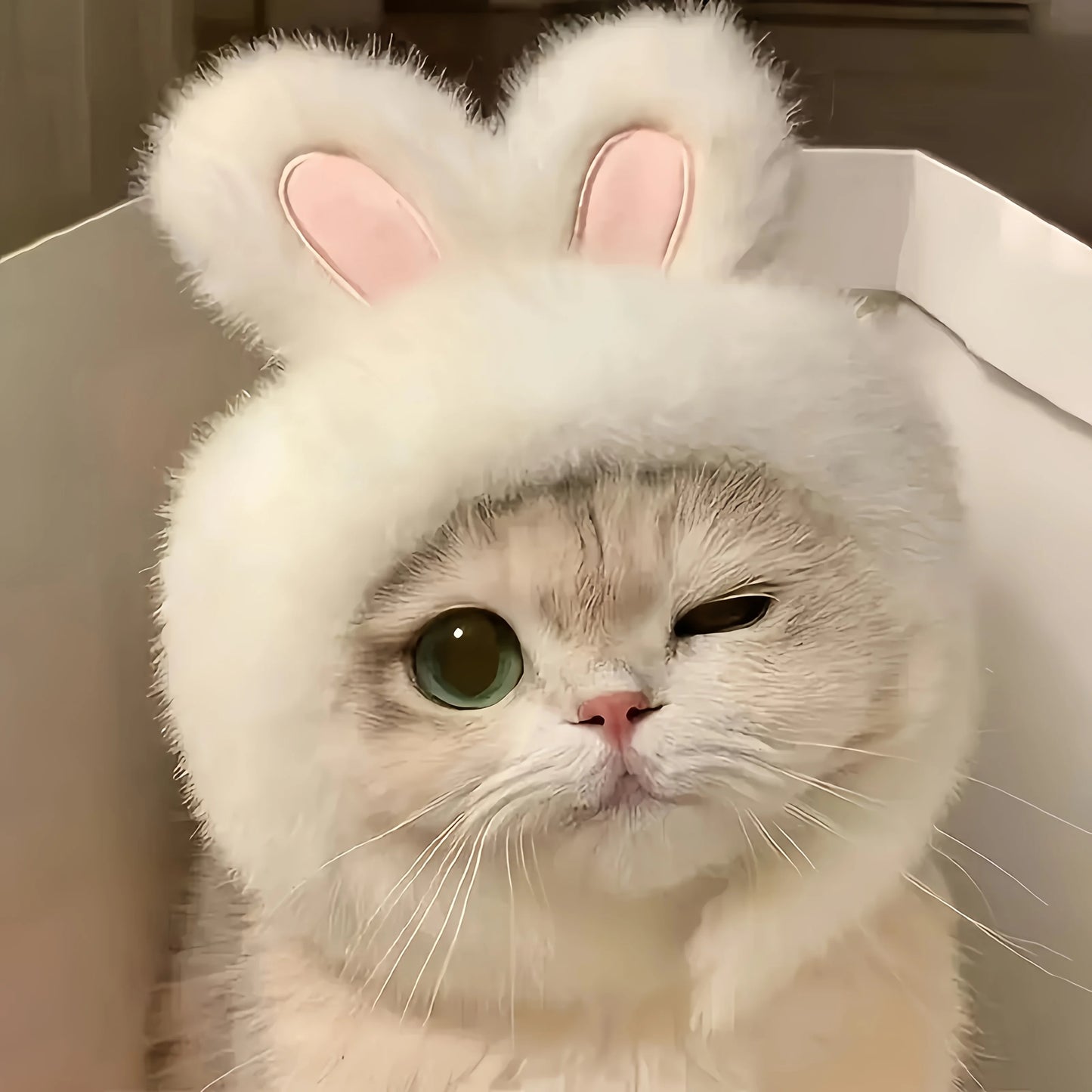 1pc Bunny Ears Cat Hat Themed Pet Costume Knit Fabric Set Comfortable Polyester Pullover Headwear for Cats & Small Dogs