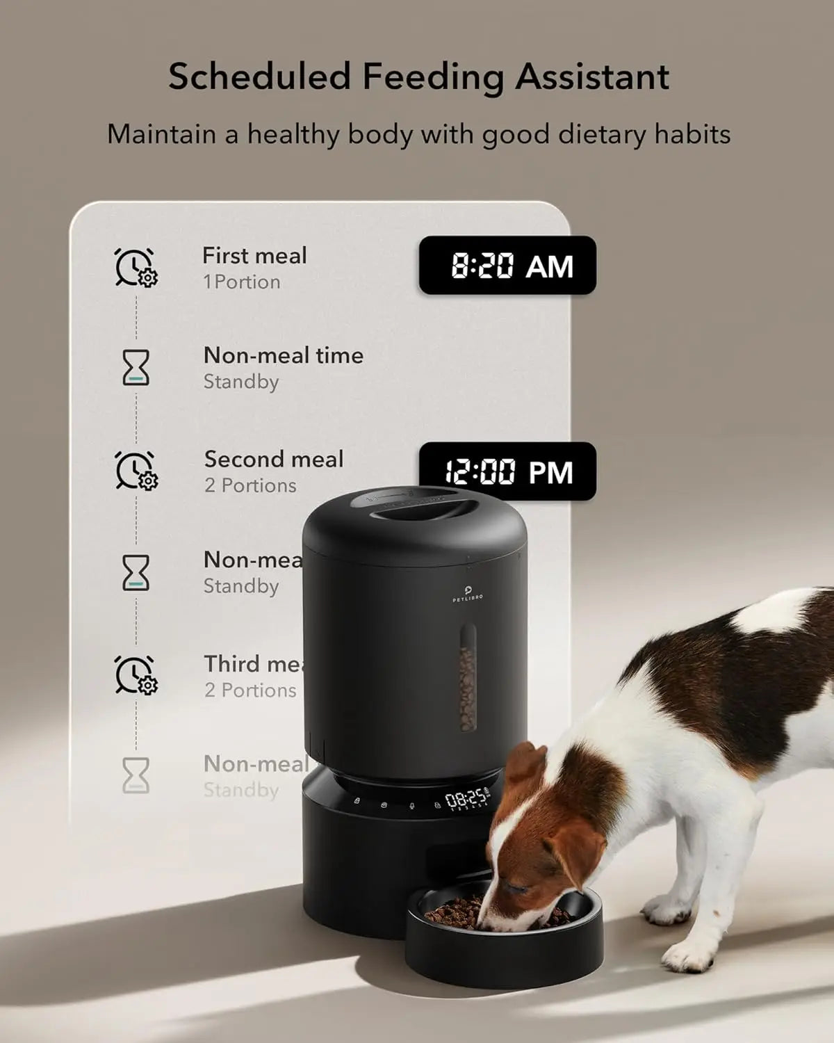 Automatic Pet Feeder Timed Dispenser for Cats and Dogs