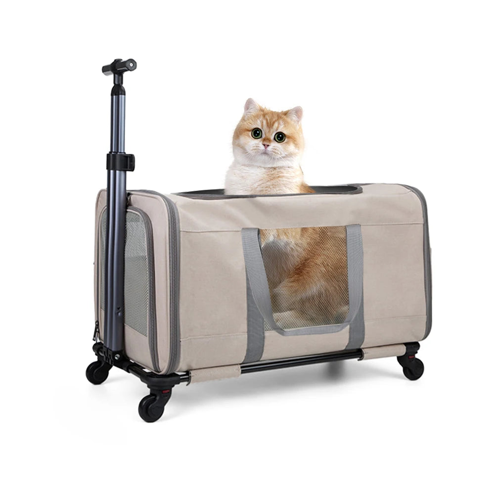 Durable Wheeled Cat Trolley For Two Cats With Belts Travel Carrier For Vet Visits