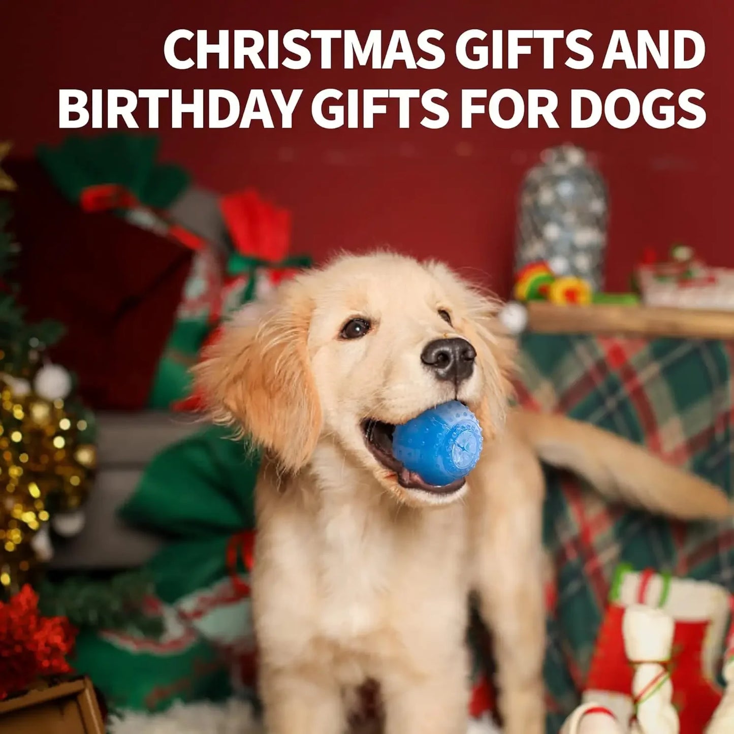 Summer Dog Chew Toys Teething Balls Durable Frozen Puppy Rubber Bone Toys Teeth Cleaning Bones Chewing Training Pet Supplies