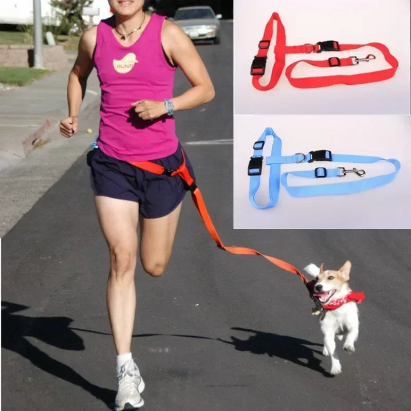 CN Guangdong Chest Hands Adjustable Pet Leash for Walking Dogs Cats