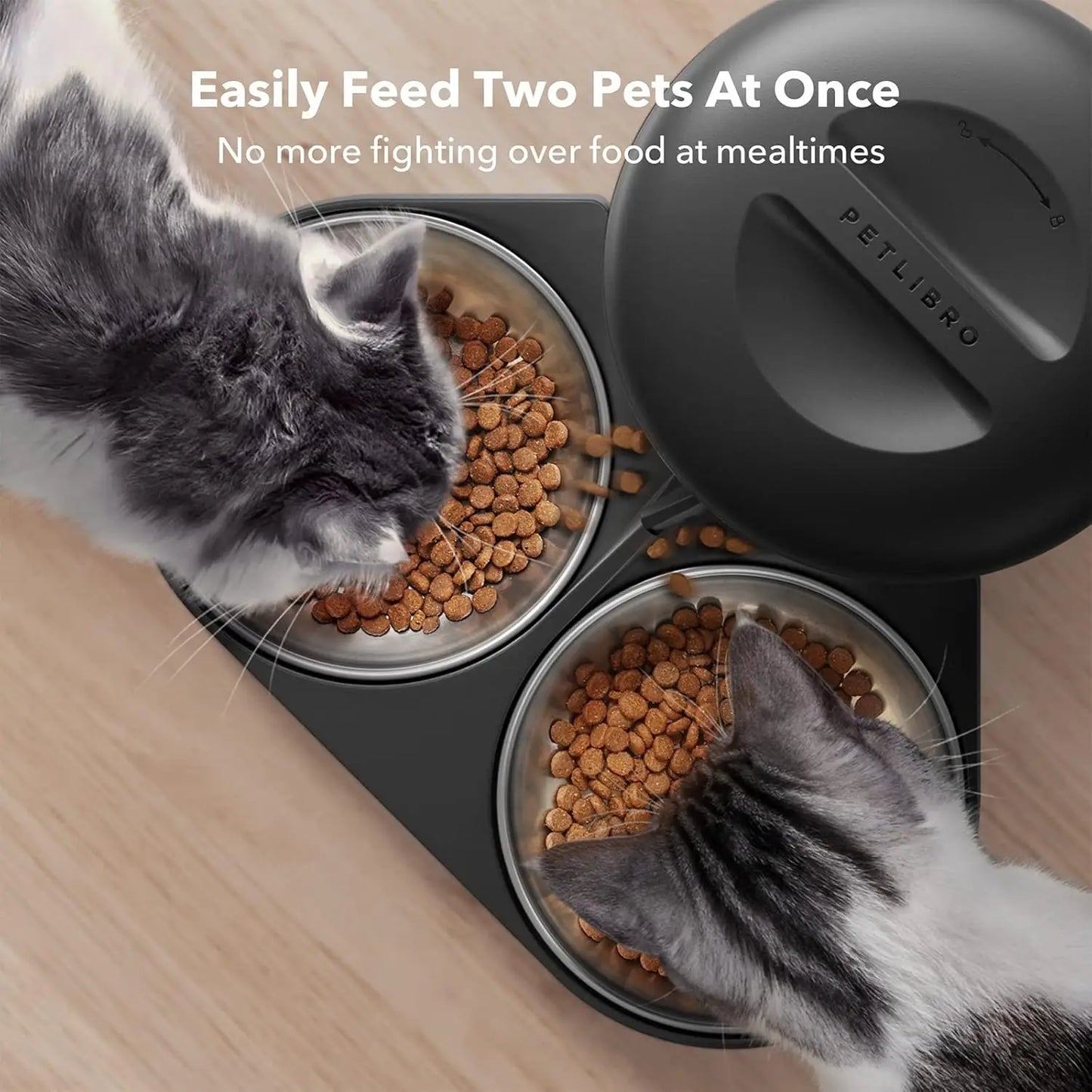 Automatic Pet Feeder with Freshness Lock, Timed Feeding for Cats and Dogs, Up to 6 Meals Daily