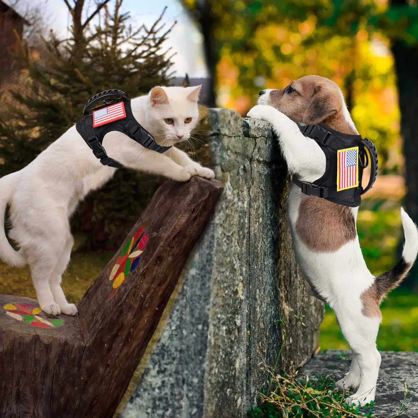 PETRAVELC Tactical Puppy Harness Leash Set Adjustable For Small Dogs