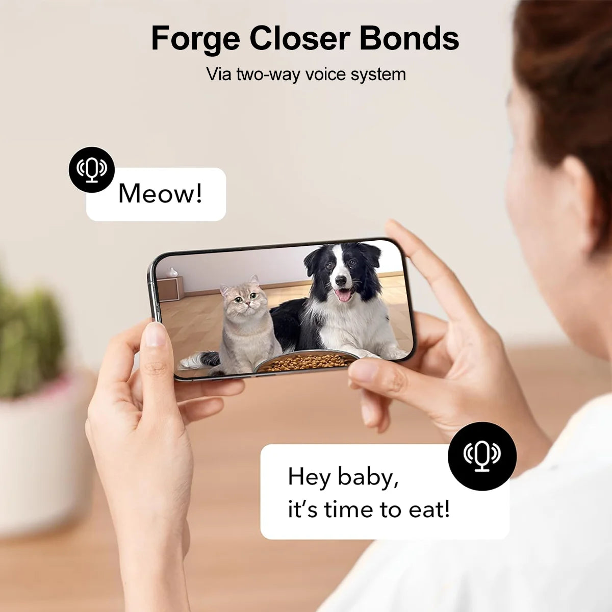 NPET Automatic Cat Feeder With Camera And Night Vision